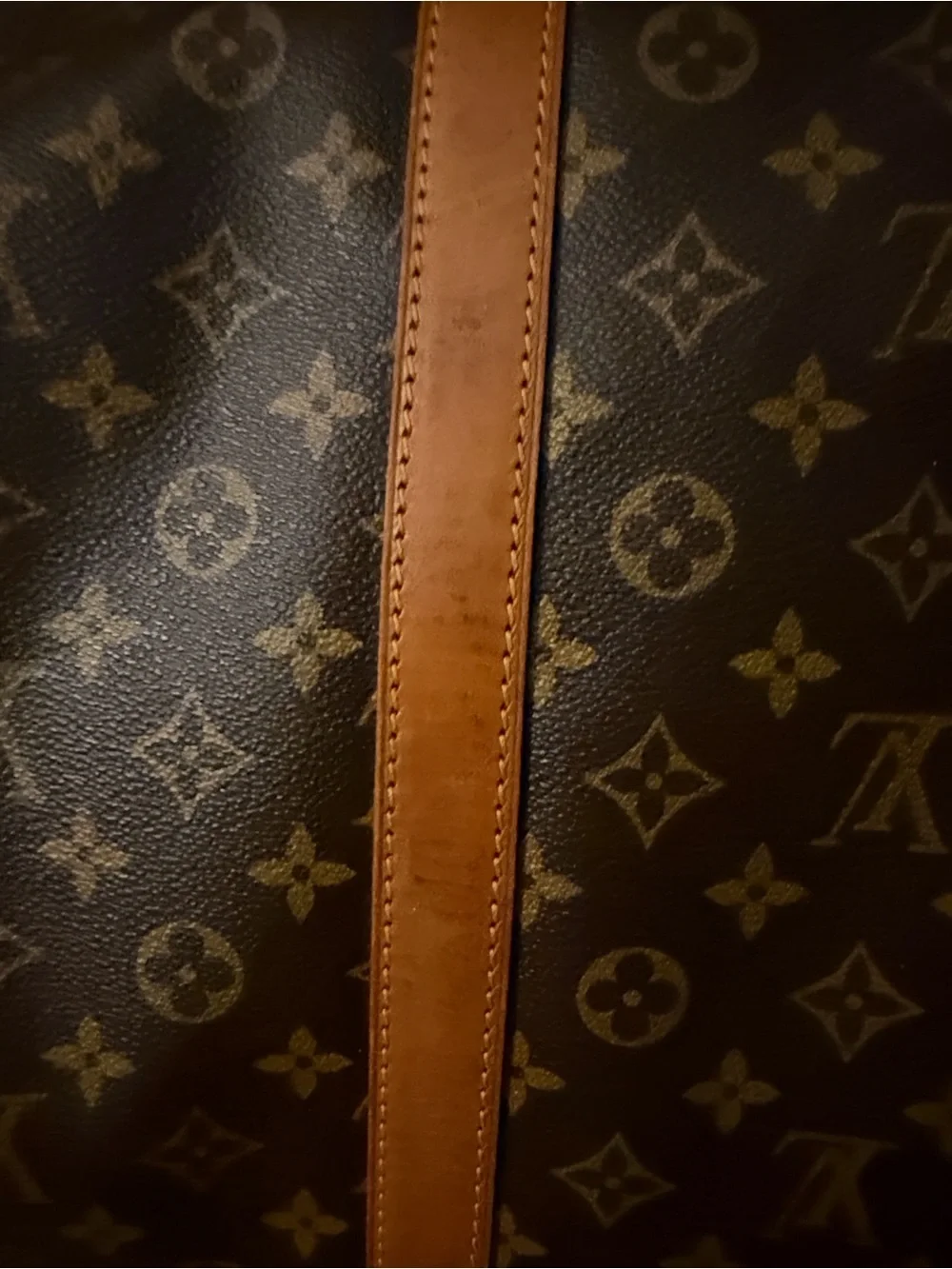 Louis Vuitton iconic louis